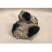 Meerschweinchen Pärchen (Schwarz/Weiß)